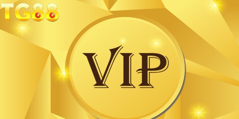 Cách thức duy trì và phát triển cấp độ trong chính sách VIP 