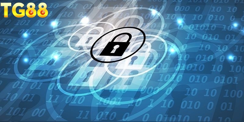 Cập nhật nhanh các chính sách về bảo mật mới nhất