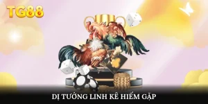 Dị tướng linh kê hiếm gặp