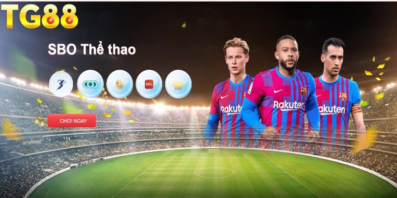 Khái quát sảnh thể thao TG88