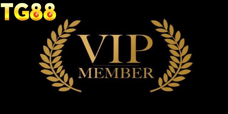 Những lợi ích đặc biệt chỉ có tại chính sách VIP 